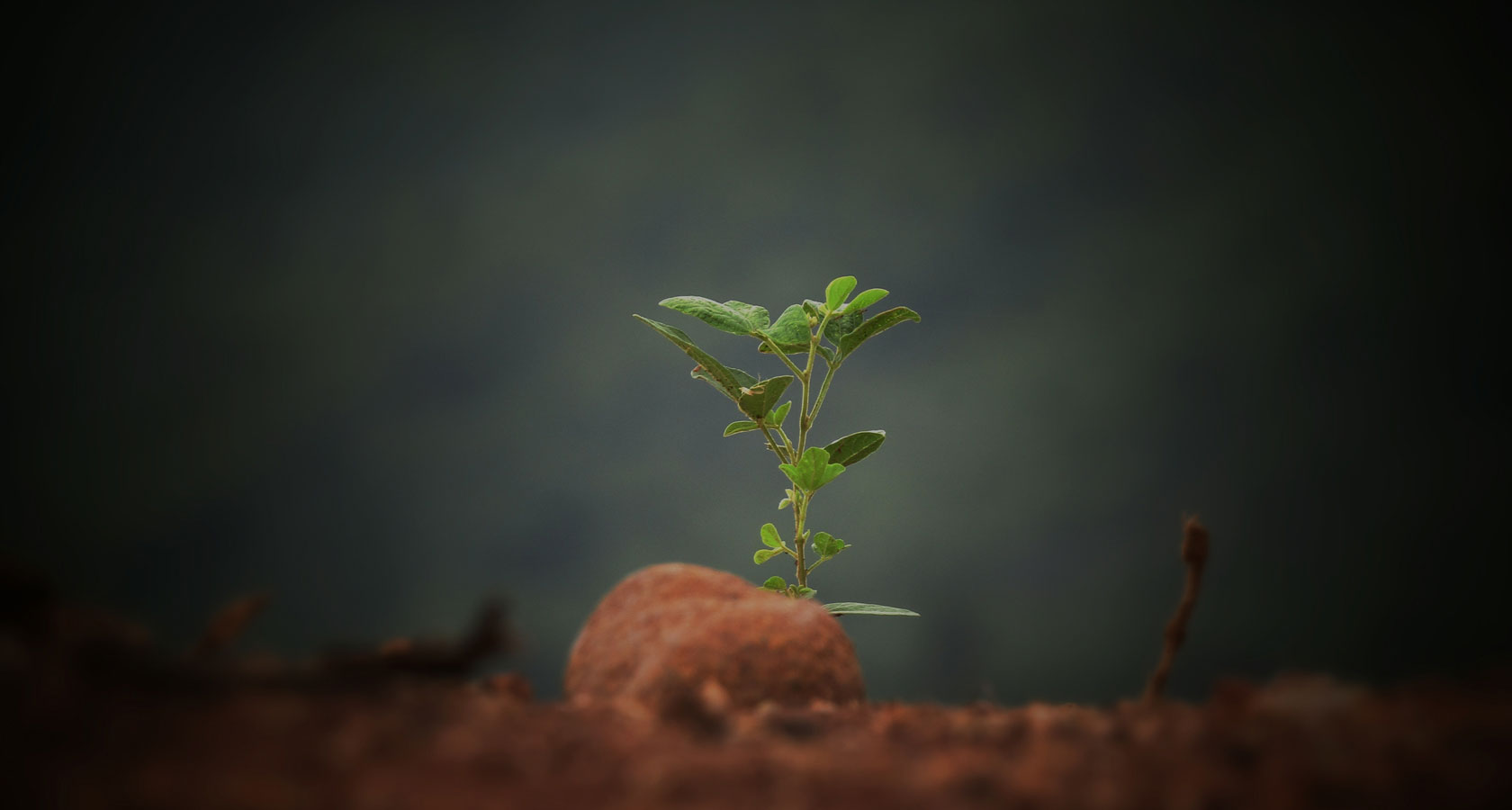 mg冰球突破(中国)官方网站